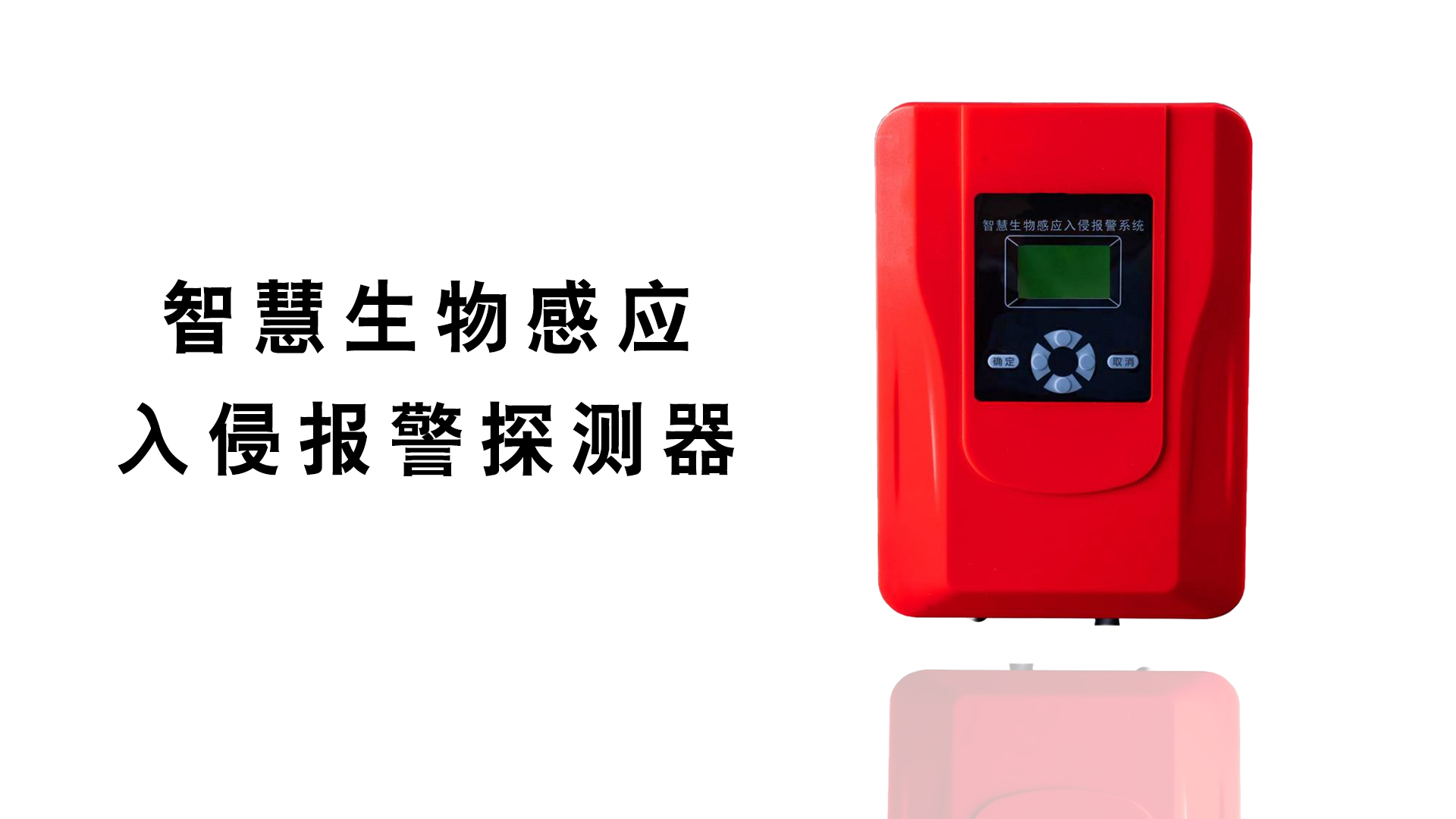 智慧生物.jpg